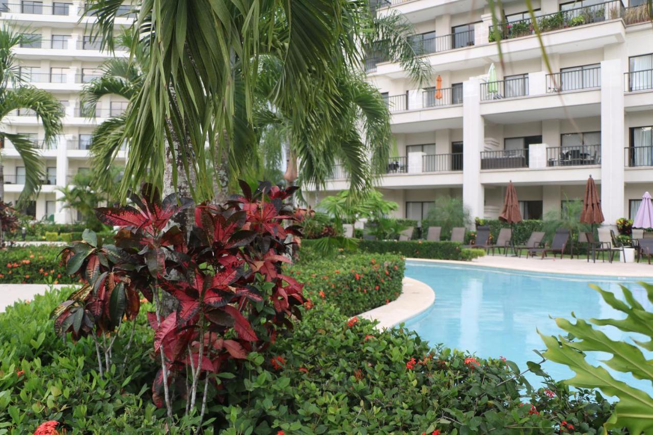 Apartment Amaluc Zac
