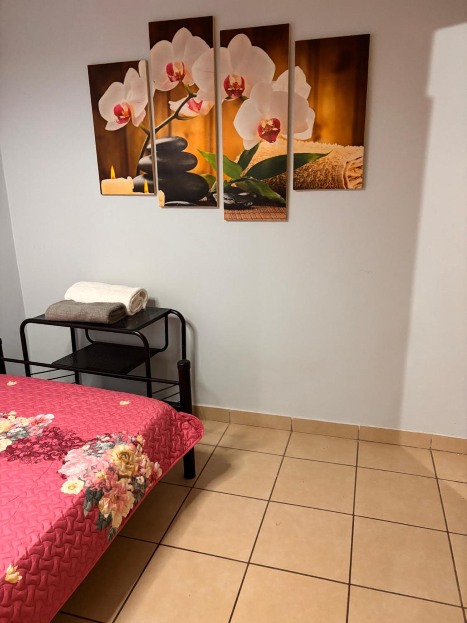 Apartment Amaluc Zac